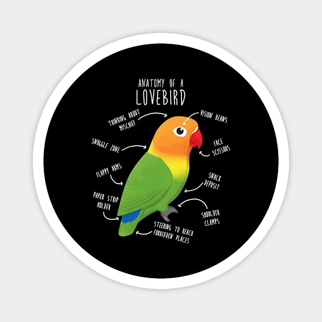 Fischer's Lovebird Parrot Anatomy Magnet by Psitta